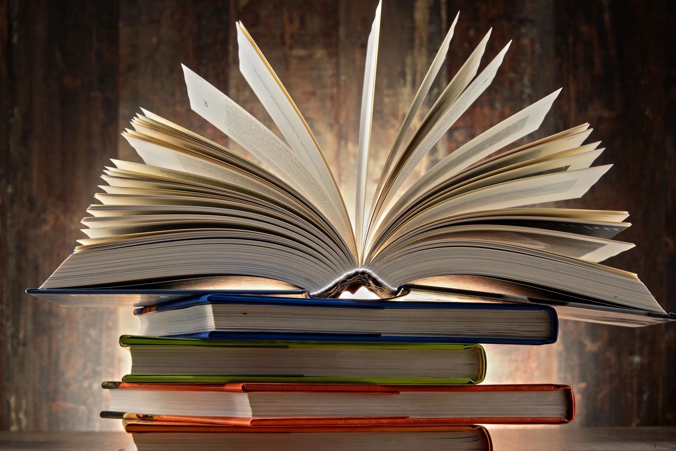 Scholarly Sourced Info on Foster Care